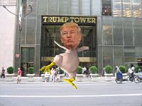 Donald_Trump_Chicken-trump-tow