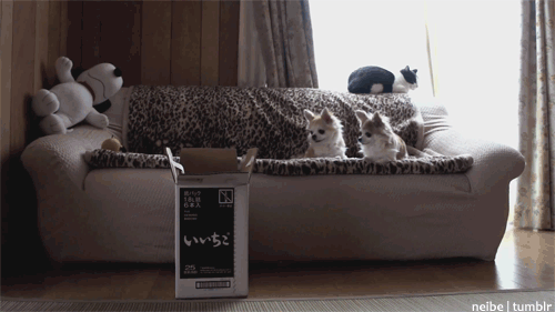 124.gif