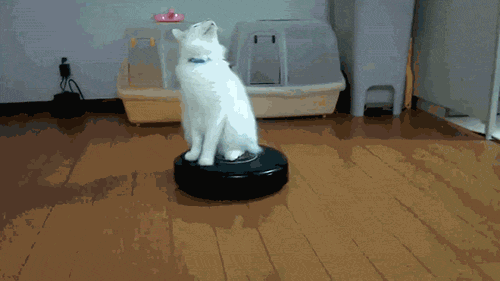 tumblr_mgxozle8Hu1rw1wnno1_500.gif
