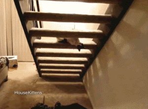 22.gif