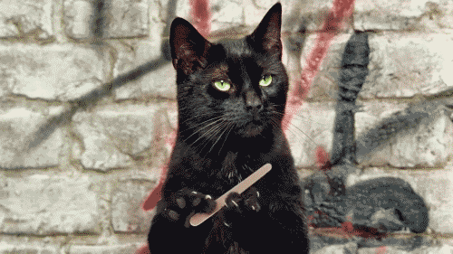tumblr_m8k1o8MkHd1rd501xo1_500.gif