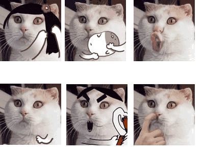 tumblr_m8juy1FkRD1r2fz82o1_400.gif