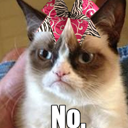 grumpycheercat_zps25de2656.png