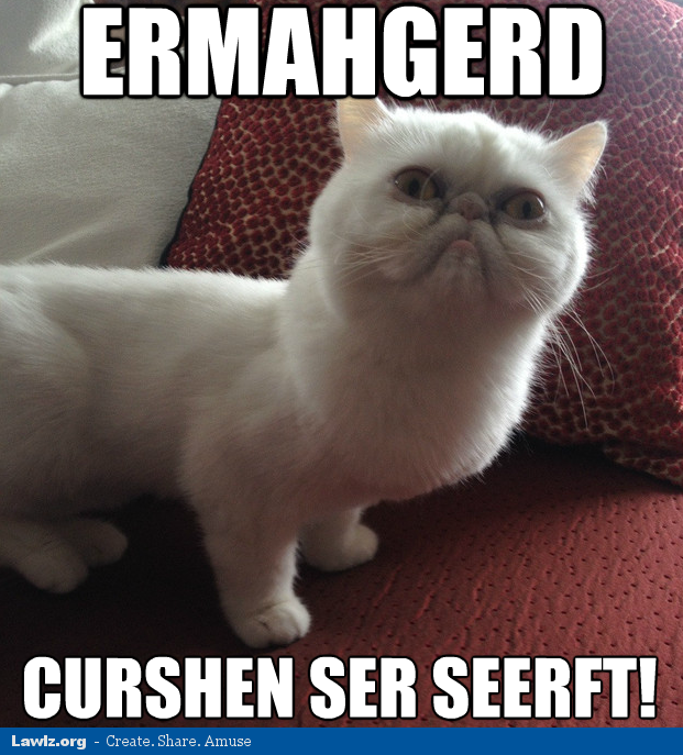 ermahgerd-animals-pets-cat-meme-curshen-ser-seerft-cushion-so-soft.png